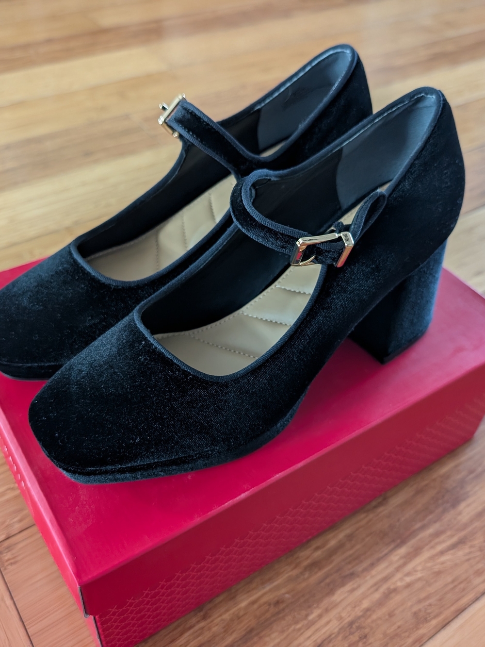 Black Velvet Mary Jane Block Heel Pumps - Women